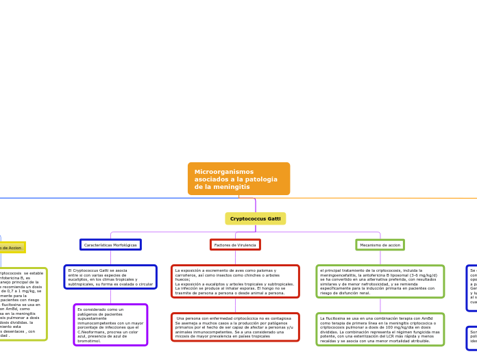 Microorganismos asociados a la patología de la meningitis