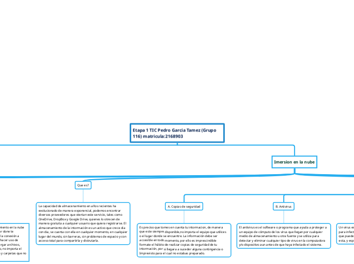 Etapa 1 TIC Pedro Garcia Tamez (Grupo 116) matricula:2168903
