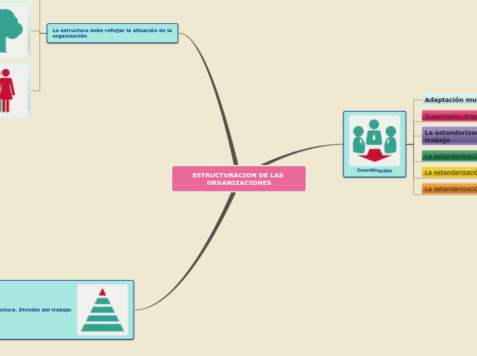 ESTRUCTURACION DE LAS ORGANIZACIONES