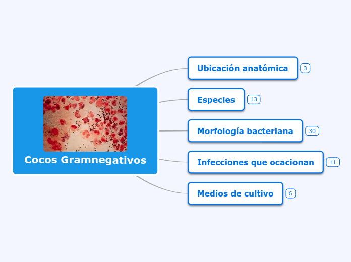 Cocos Gramnegativos