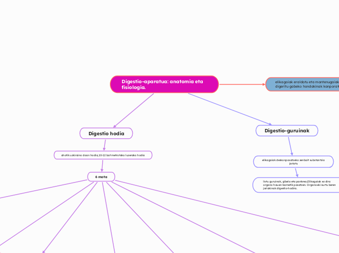 Digestio-aparatua: anatomia eta fisiologia.