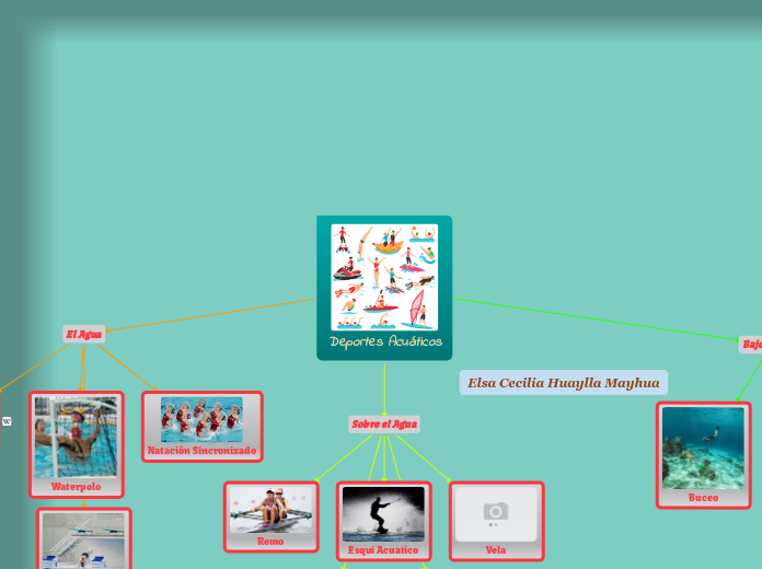 Organigrama arbol