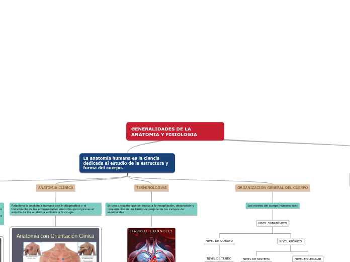 GENERALIDADES DE LA ANATOMIA Y FISIOLOGIA