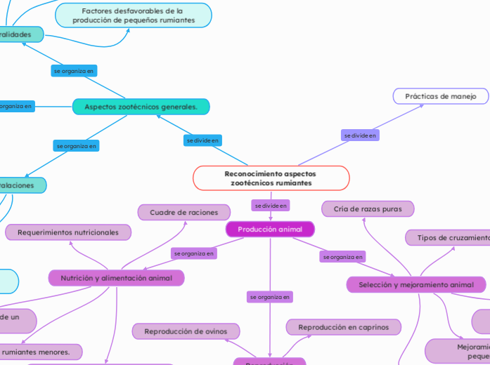Reconocimiento aspectos zootécnicos rumiantes