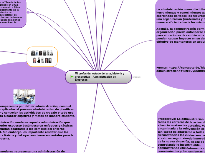 Mi profesión: estado del arte, historia y prospectiva -  Administración de Empresas.