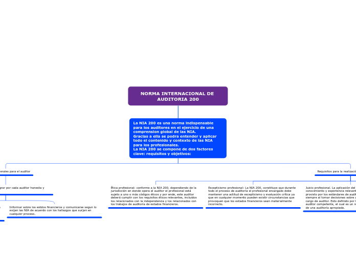 NORMA INTERNACIONAL DE AUDITORIA 200