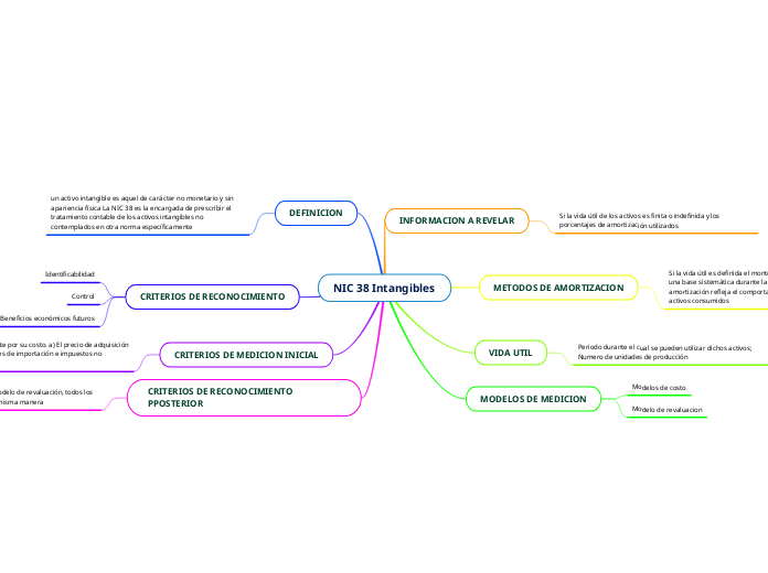 NIC 38 Intangibles