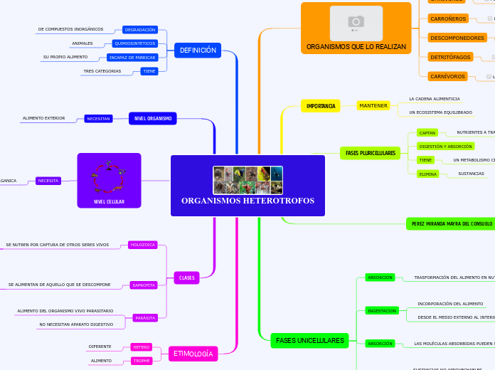 ORGANISMOS HETEROTROFOS