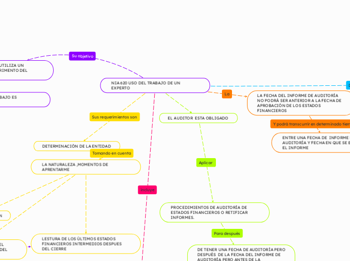 NIA 620 USO DEL TRABAJO DE UN EXPERTO