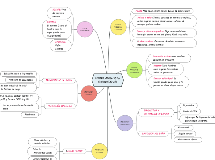 HISTORIA NATURAL DE LA ENFERMEDAD VPH