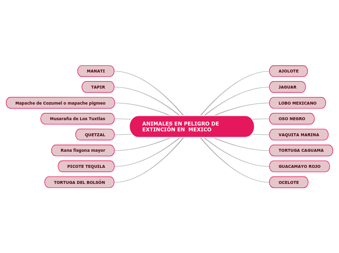 ANIMALES EN PELIGRO DE EXTINCIÓN EN  MEXICO