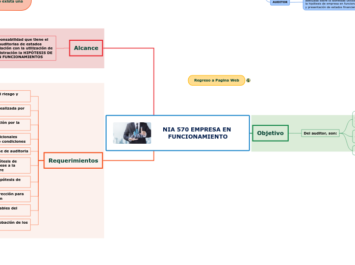 NIA 570 EMPRESA EN FUNCIONAMIENTO