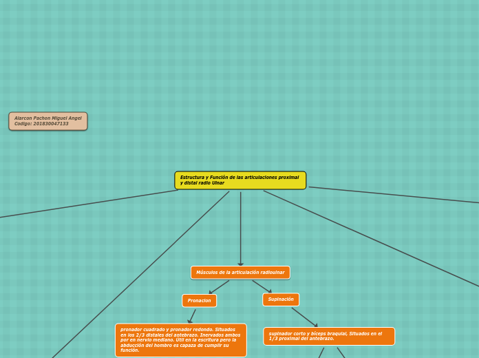 Estructura y Función de las articulaciones proximal y distal radio Ulnar