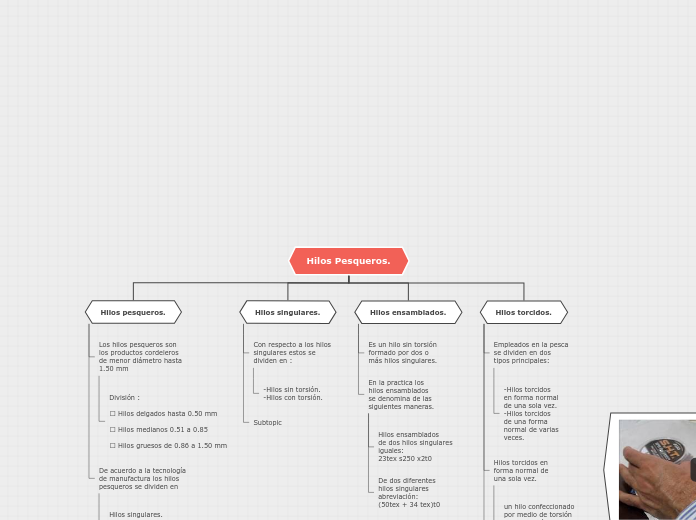 Organigrama arbol