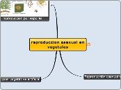 reprod asexual en vegetales