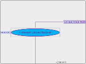 Gobierno Liberal Radical 