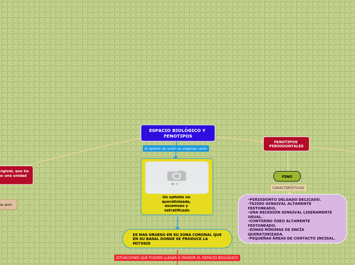 ESPACIO BIOLÓGICO Y FENOTIPOS