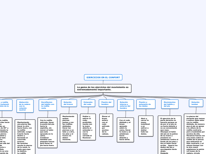EJERCICIOS EN EL CONFORT