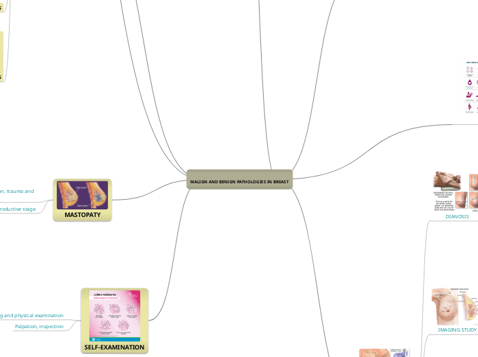 MALIGN AND BENIGN PATHOLOGIES IN BREAST