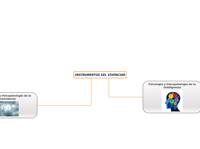 INSTRUMENTOS DEL VIVENCIAR