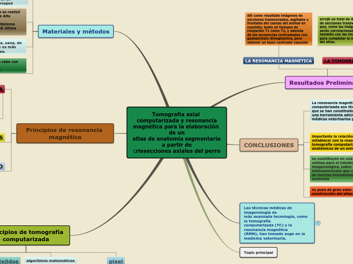 Tomografía axial computarizada y resonanciamagnética para la elaboración de unatlas de anatomía segmentaria a partir decriosecciones axiales del perro