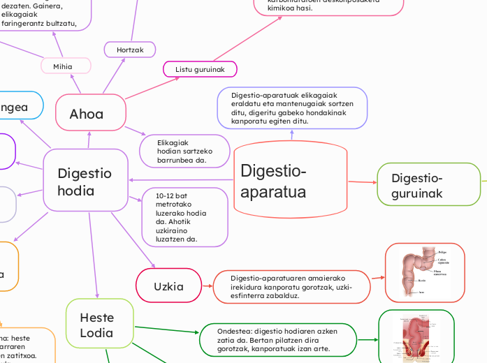 Digestio-aparatua