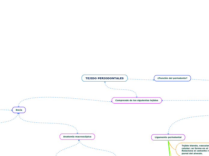 TEJIDO PERIODONTALES