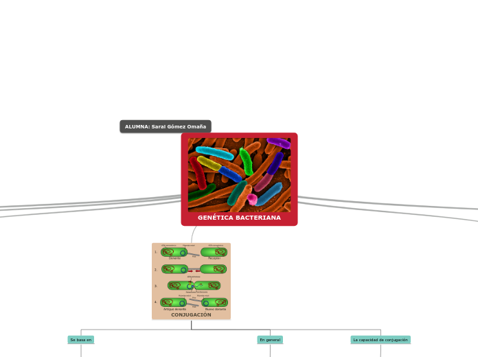 GENÉTICA BACTERIANA