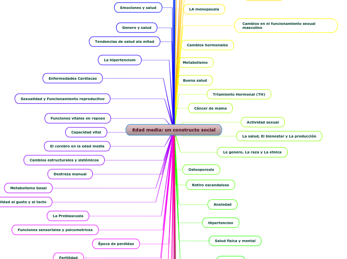 Edad media: un constructo social