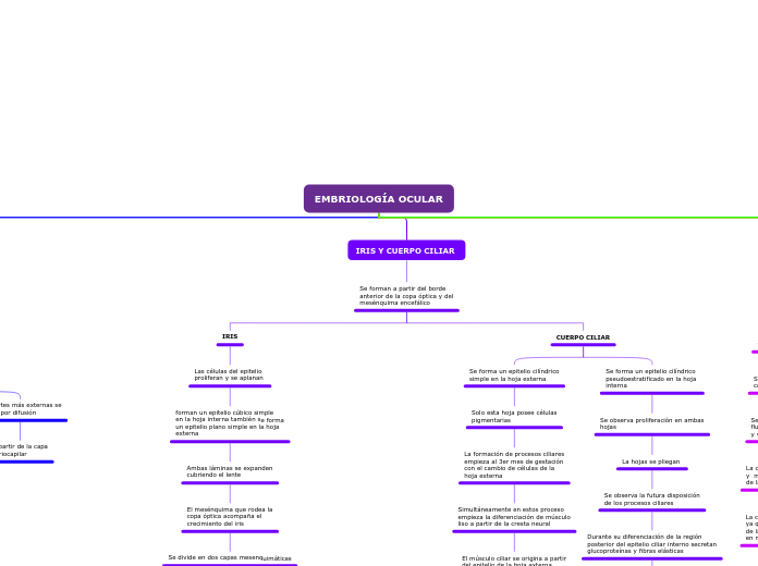 EMBRIOLOGÍA OCULAR
