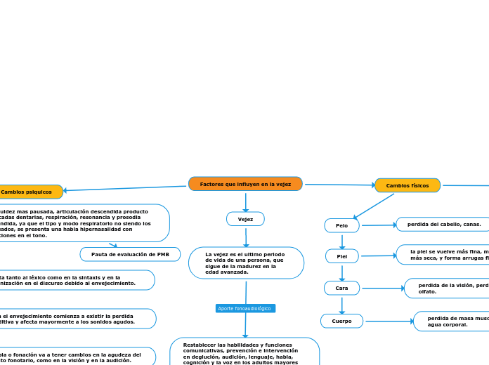 mapa conceptual vejez