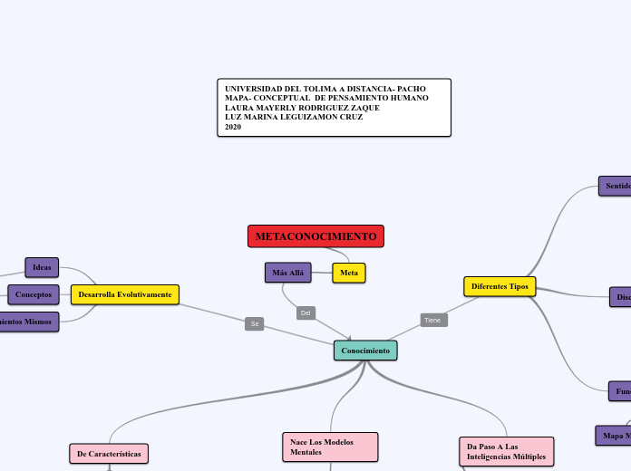 METACONOCIMIENTO
