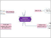 NORMA PROCESSUAL