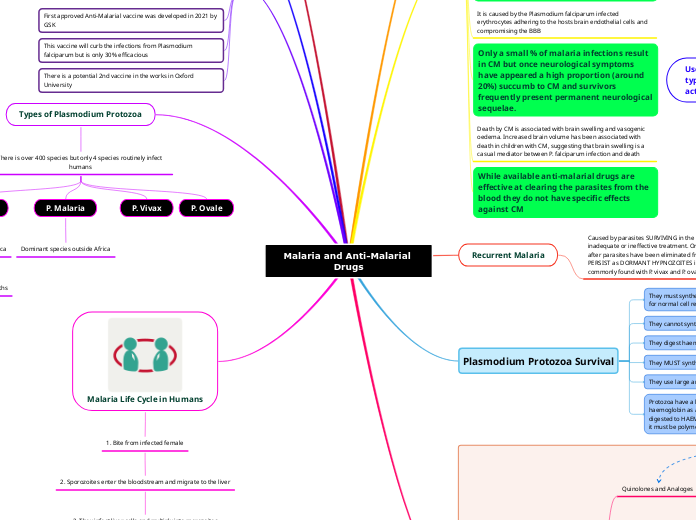 Malaria and Anti-Malarial Drugs