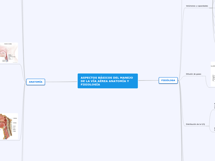 ASPECTOS BÁSICOS DEL MANEJO DE LA VÍA AÉREA ANATOMÍA Y FISIOLOGÍA