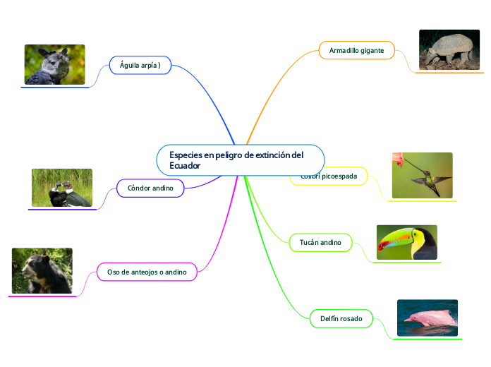 Especies en peligro de extinción del Ecuador