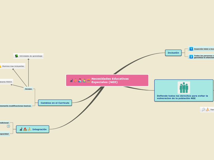 Necesidades Educativas Especiales (NEE)