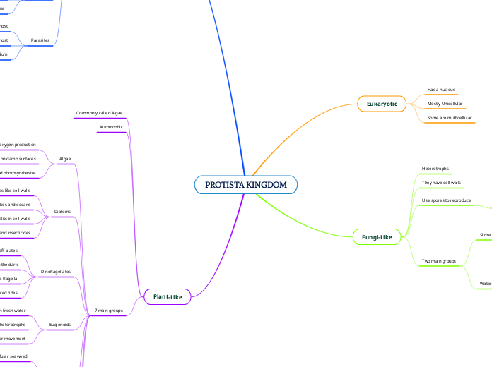 PROTISTA KINGDOM