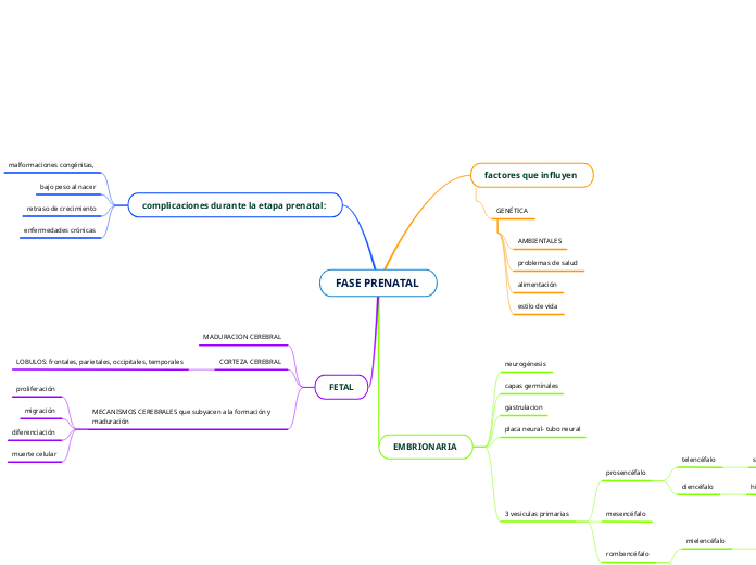 FASE PRENATAL 