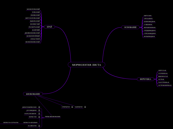 МОРФОЛОГИЯ ЛИСТА