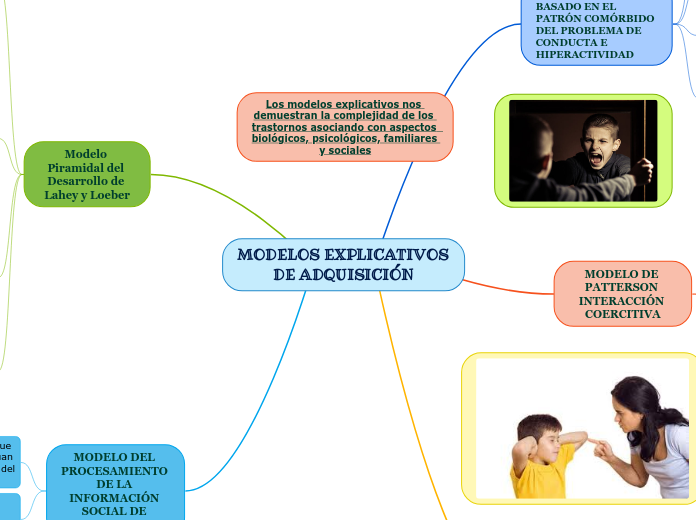 MODELOS EXPLICATIVOS DE ADQUISICIÓN