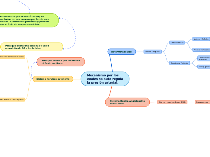 Mecanismo por los
cuales se auto regula
la presión arterial.