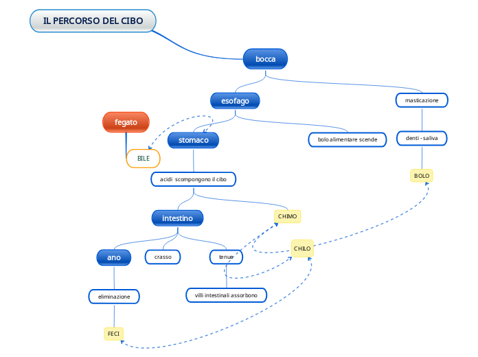 IL PERCORSO DEL CIBO