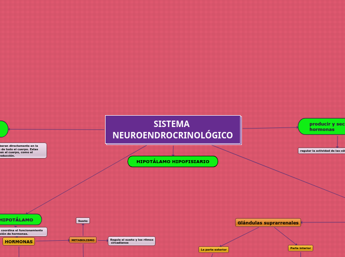 SISTEMA NEUROENDROCRINOLÓGICO