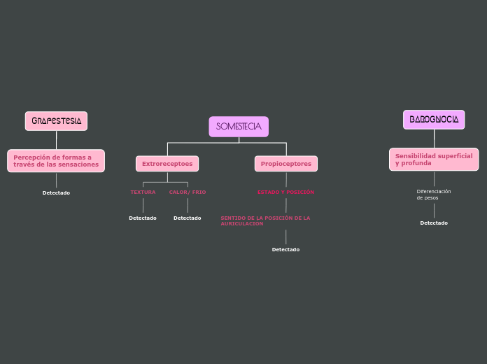 Organigrama arbol