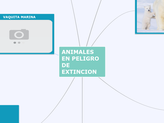 ANIMALES EN PELIGRO DE EXTINCION