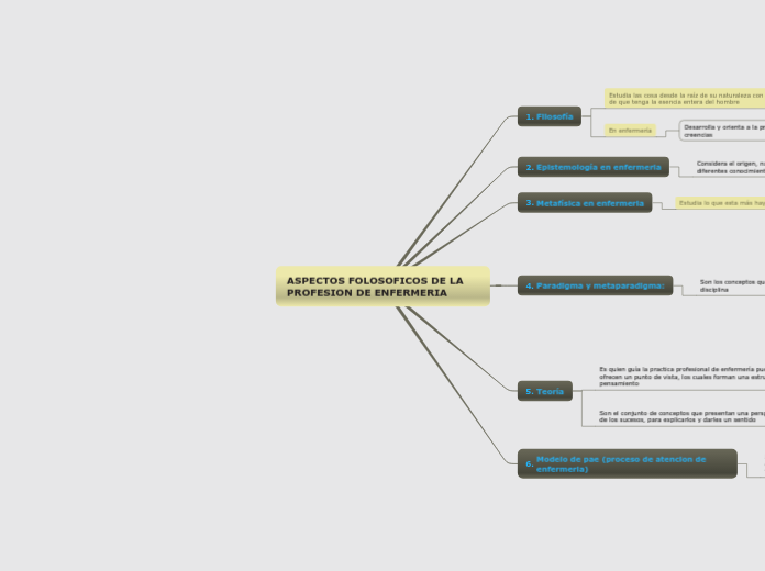 ASPECTOS FOLOSOFICOS DE LA PROFESION DE ENFERMERIA