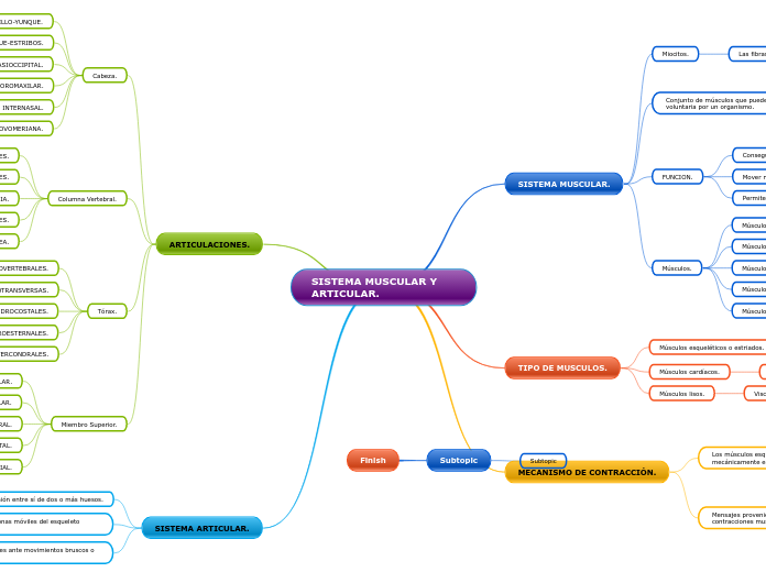 SISTEMA MUSCULAR Y                         ARTICULAR.