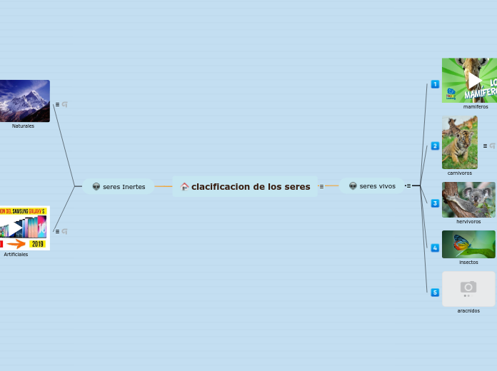 clacificacion de los seres