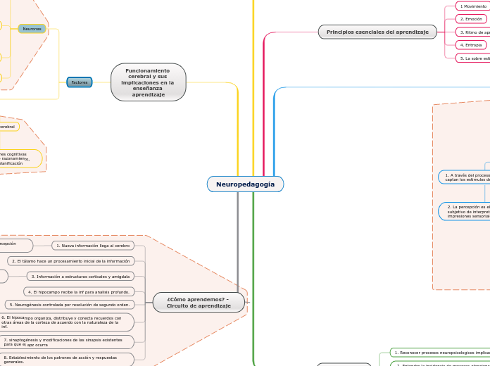 Neuropedagogía